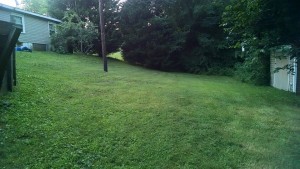 Best Lawn Care Alamance County Faulkner's Lawn Care